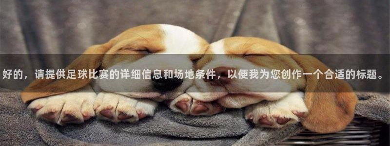 意昂2官方网站：好的，请提供足球比赛的详细信息和场地条件，以