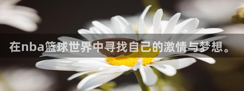  意昂2登录地址：在nba篮球世界中寻找自己的激情与梦想。