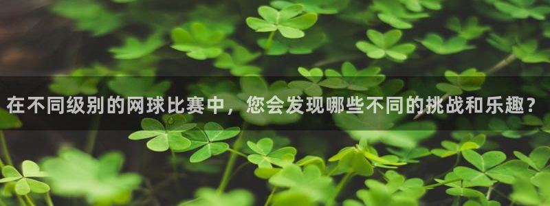 意昂2官网：在不同级别的网球比赛中，