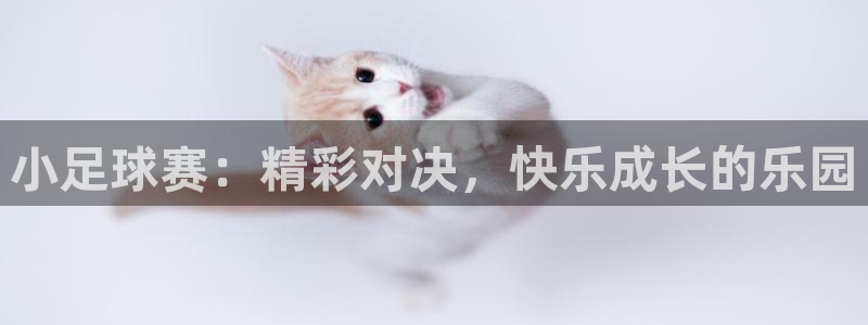 意昂2开户：小足球赛：精彩对决，快乐