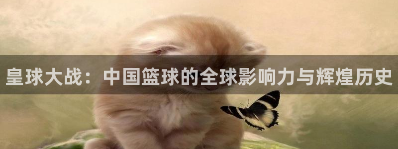 意昂2体育平台：皇球大战：中国篮球的