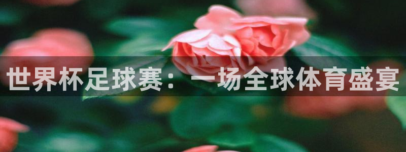  意昂2登录地址：世界杯足球赛：一场全球体育盛宴