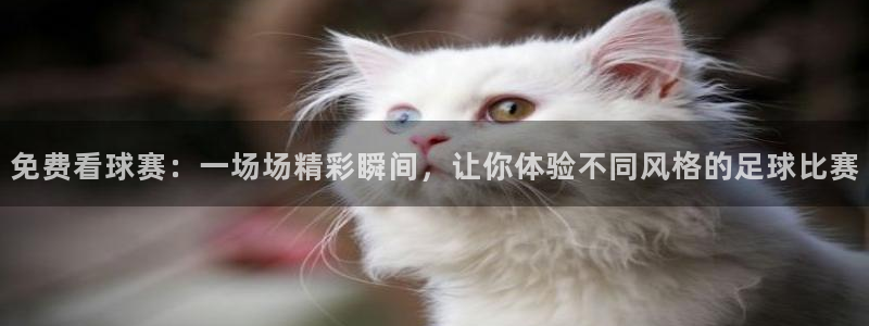 意昂2官方网站：免费看球赛：一场场精