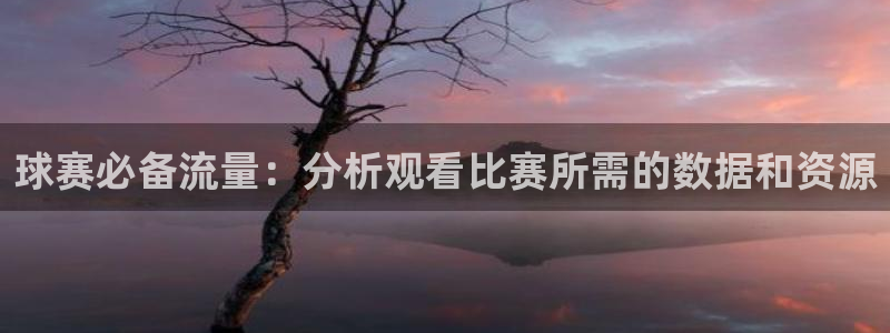  意昂2娱乐直属：球赛必备流量：分析观看比赛所需的数据和资源