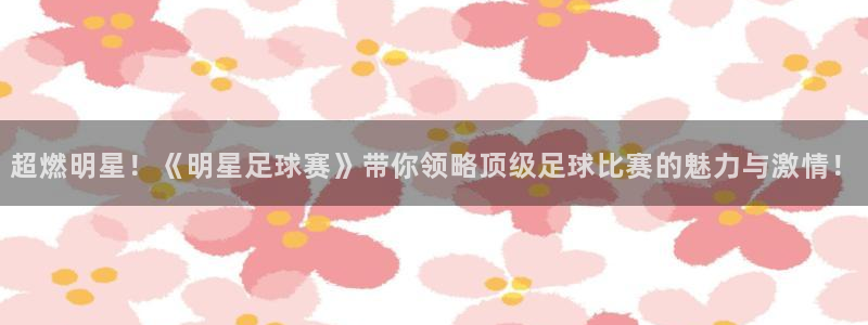 意昂2代理注册：超燃明星！《明星足球