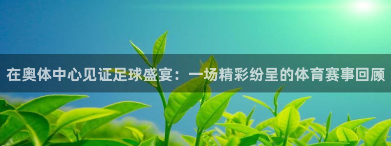 意昂2平台怎么样：在奥体中心见证足球盛宴：一场精彩纷呈的体育