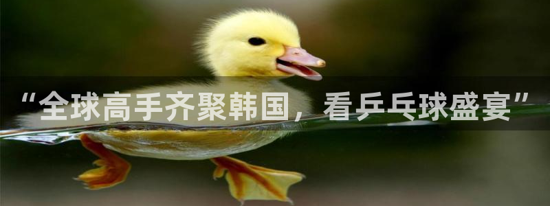  意昂2体育：“全球高手齐聚韩国，看乒乓球盛宴”