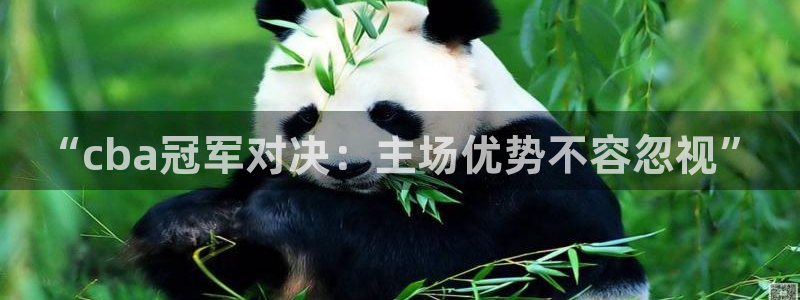  意昂2体育官方网站：“cba冠军对决：主场优势不容忽视”