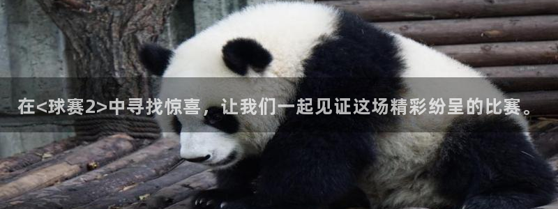  意昂2登录注册：在<球赛2>中寻找惊喜，让我们一起见证这场精