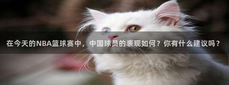 意昂2：在今天的NBA篮球赛中，中国