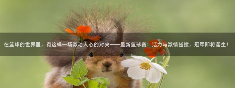 意昂2平台股东：在篮球的世界里，有这