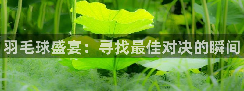 意昂2体育平台：羽毛球盛宴：寻找最佳对决的瞬间