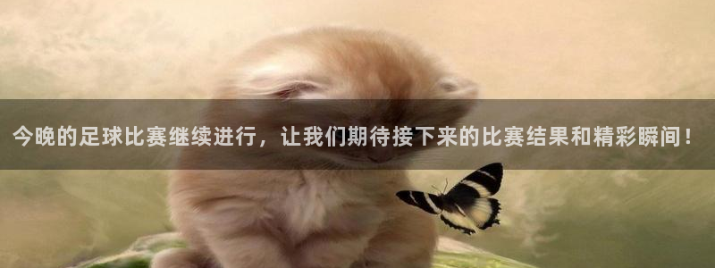 意昂2意昂2平台：今晚的足球比赛继续
