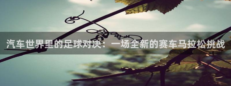 意昂2平台股东：汽车世界里的足球对决：一场全新的赛车马拉松挑