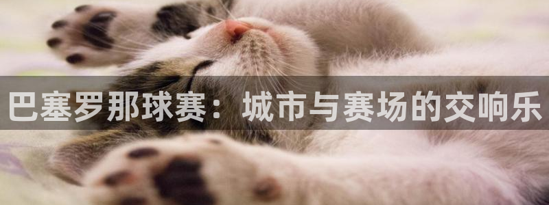 意昂2登录入口：巴塞罗那球赛：城市与赛场的交响乐