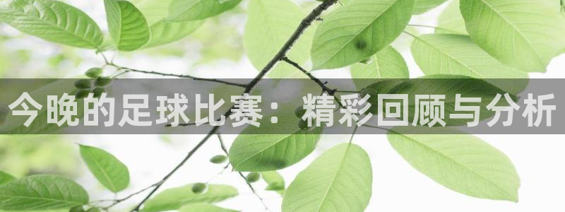 意昂2平台注册：今晚的足球比赛：精彩回顾与分析