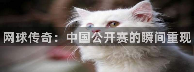 意昂2体育官方网站：网球传奇：中国公开赛的瞬间重现