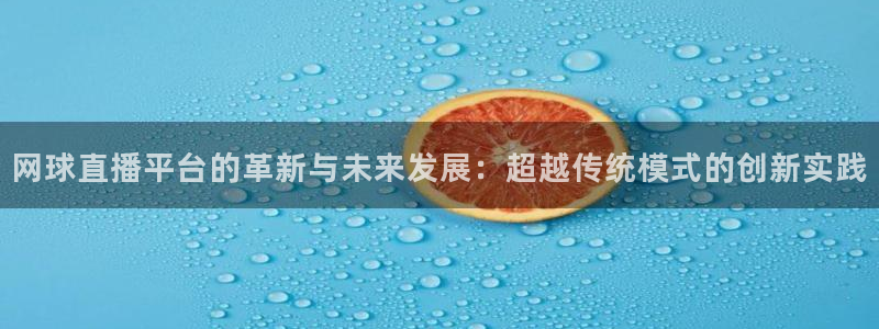 鲸鱼体育免费直播：网球直播平台的革新与未来发展：超越传统模式的创新实践