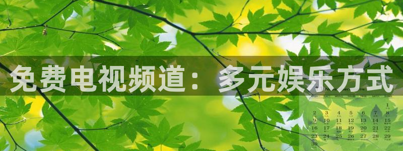 鲸鱼体育直播：免费电视频道：多元娱乐方式