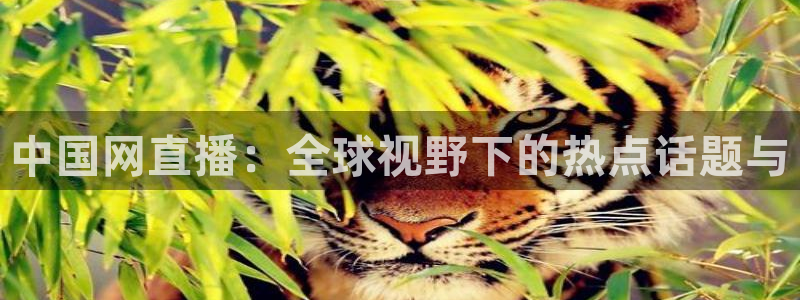 鲸鱼体育直播app免费下载：中国网直播：全球视野下的热点话题与