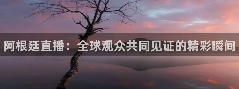 鲸鱼体育tv在线观看：阿根廷直播：全球观众共同见证的精彩瞬间