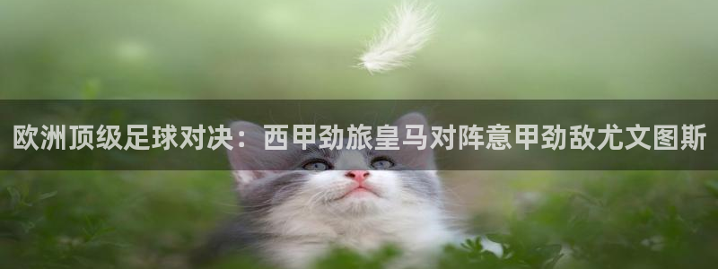 鲸鱼nba直播：欧洲顶级足球对决：西甲劲旅皇马对阵意甲劲敌尤文图斯