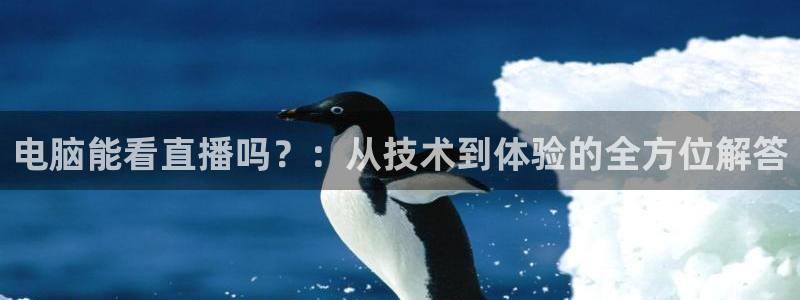 jytv02 鲸鱼体育直播：电脑能看直播吗？：从技术到体验的全方位解答
