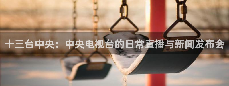 鲸鱼直播官网：十三台中央：中央电视台的日常直播与新闻发布会