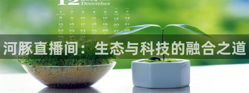 nba鲸鱼体育：河豚直播间：生态与科技的融合之道