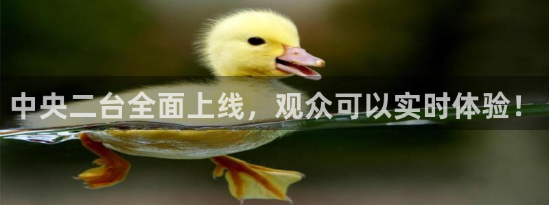 鲸鱼体育直播nba：中央二台全面上线，观众可以实时体验！