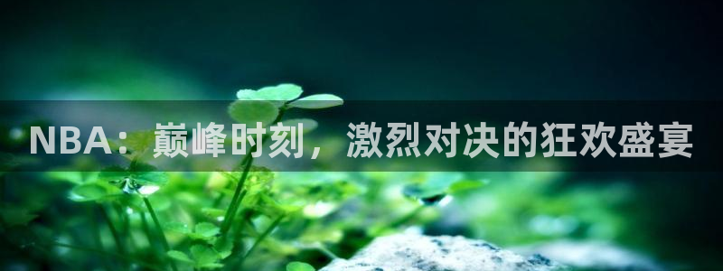 鲸鱼体育足球直播：NBA：巅峰时刻，激烈对决的狂欢盛宴